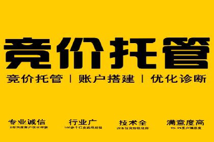 百度搜索推广实战技巧：成功案例背后的秘密